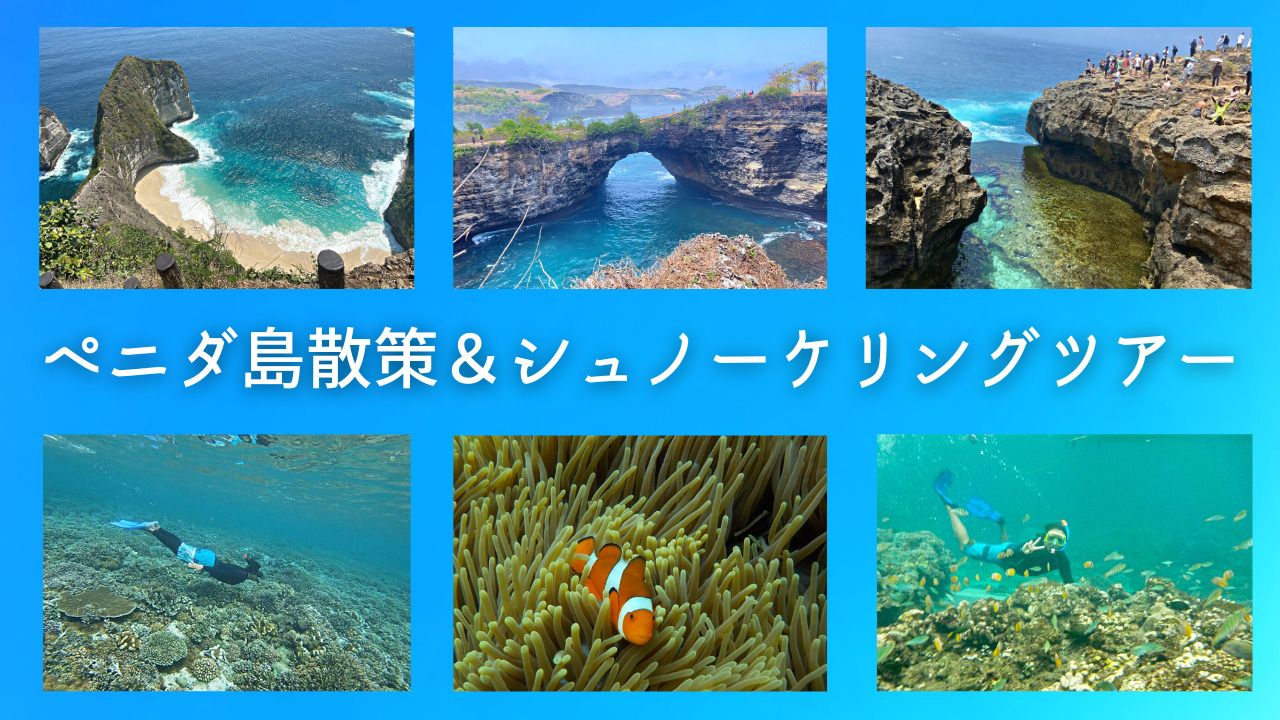 ペニダ島散策＆シュノーケリングツアー - バリ歴史ツアー